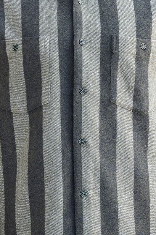 Yeşil Çizgili Oduncu